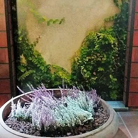 Vandrerhjem Milano Ostello