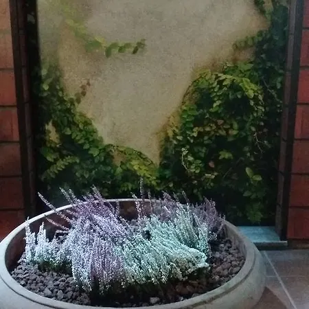 오스텔로
